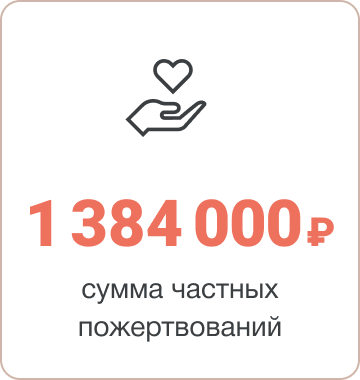 1 млн 384 тыс. руб. сумма частных пожертвований